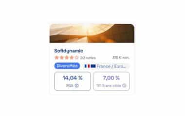 SCPI Sofidynamic : mon avis après analyse